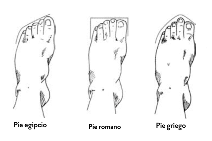 Guía Completa del Calzado Barefoot: Beneficios, Características y Cómo Elegir el Mejor Para Ti
